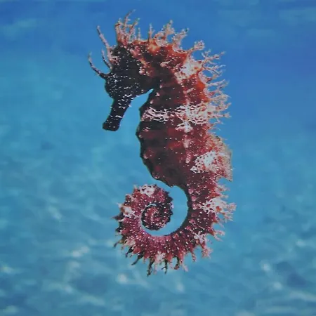 דירה Maro's Family