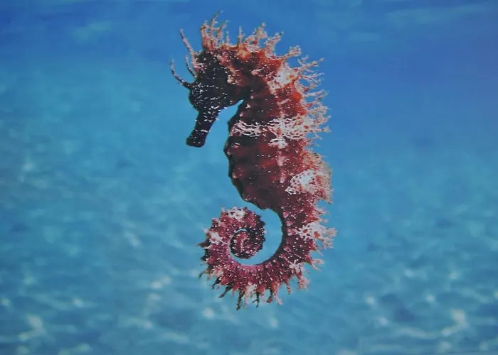 Apartamento Maro's Family